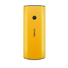 Nokia 110 (2G)
